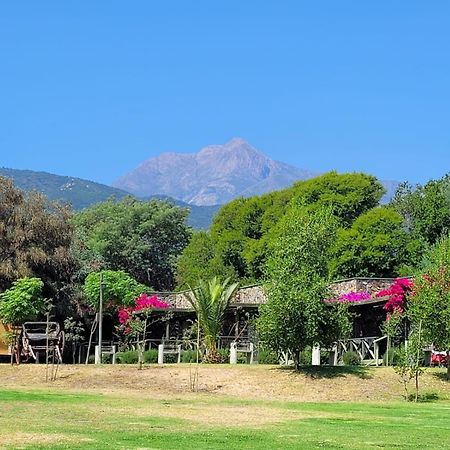 Olmue Natura Lodge & Spa エクステリア 写真